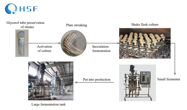 Production process