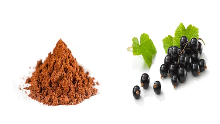 Blackcurrant extract powder