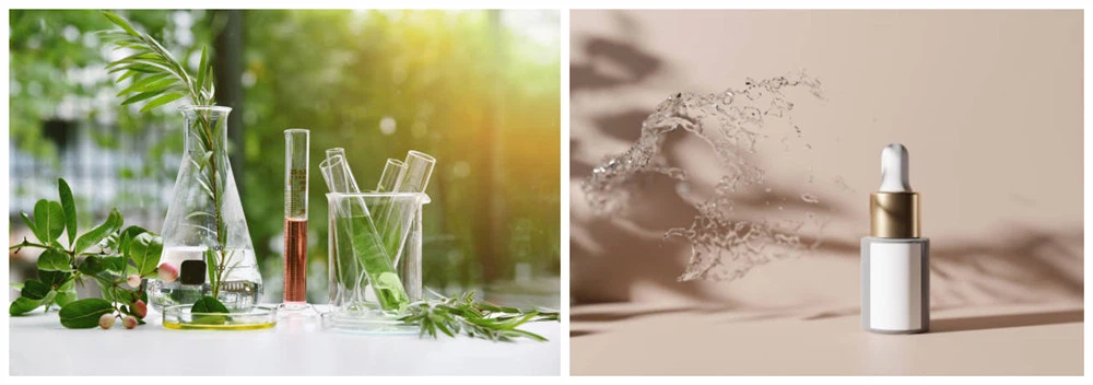 plant based skin care products plant based skin care products