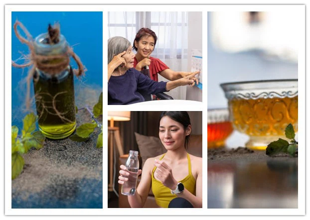 Bacopa Monnieri extract's application Bacopa Monnieri extract's application