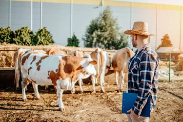 info-612-408 info-612-408