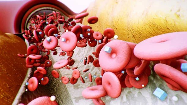 info-612-344 info-612-344